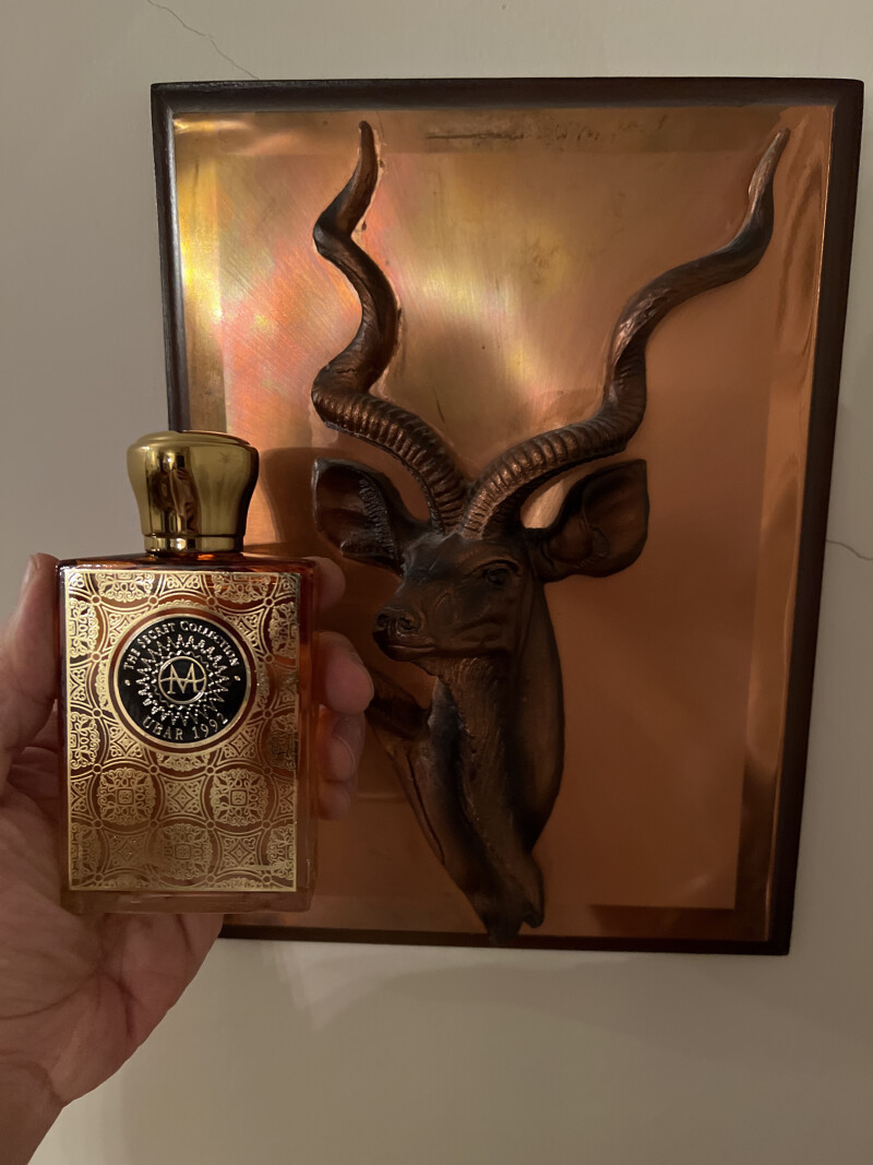 مورسک اوبار….خار کویر در یک شیشه