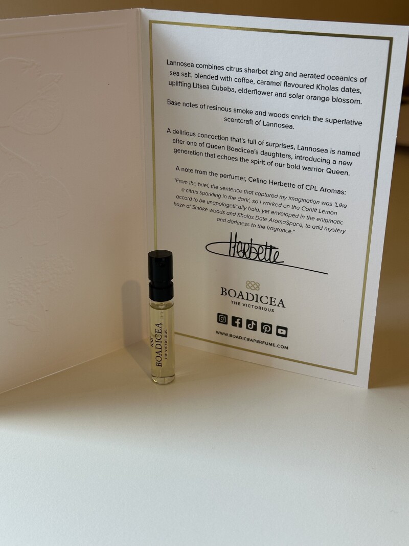 بوديسي 🤯🤯