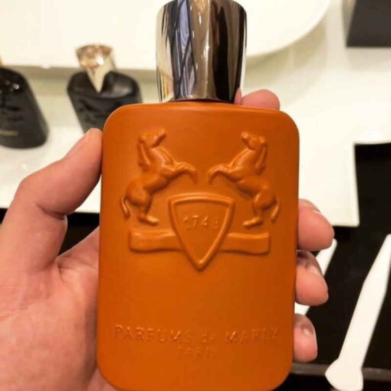 ثاریخچه ای کوتاه از به قدرت رسیدن دمارلی تا چندی پیش تا 2011_2023