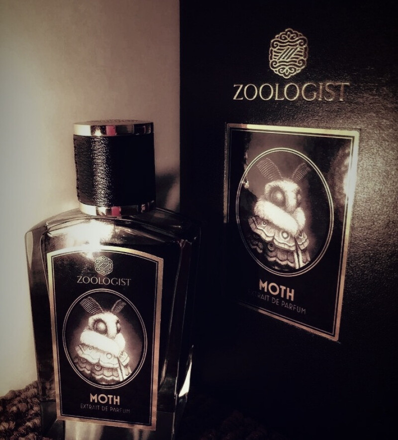 شمع و پروانه