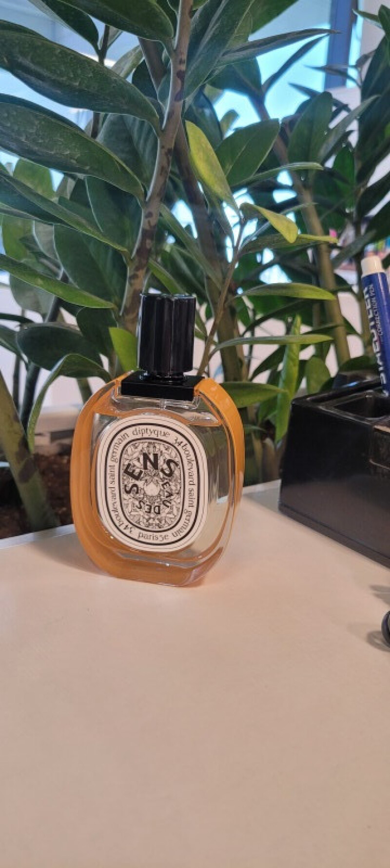 دیپتیک ایمپاسیبل بوکت او دس سنس