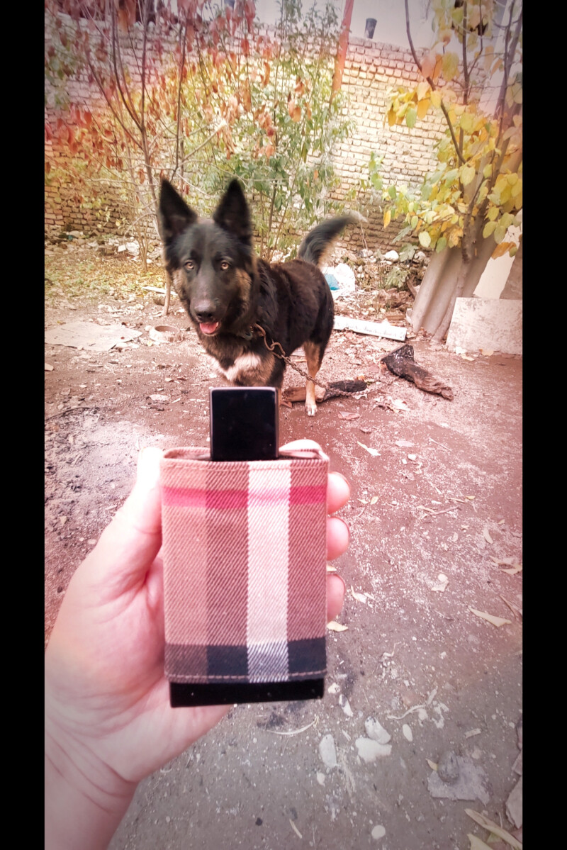 Burberry London Lucky's favorite perfume😁