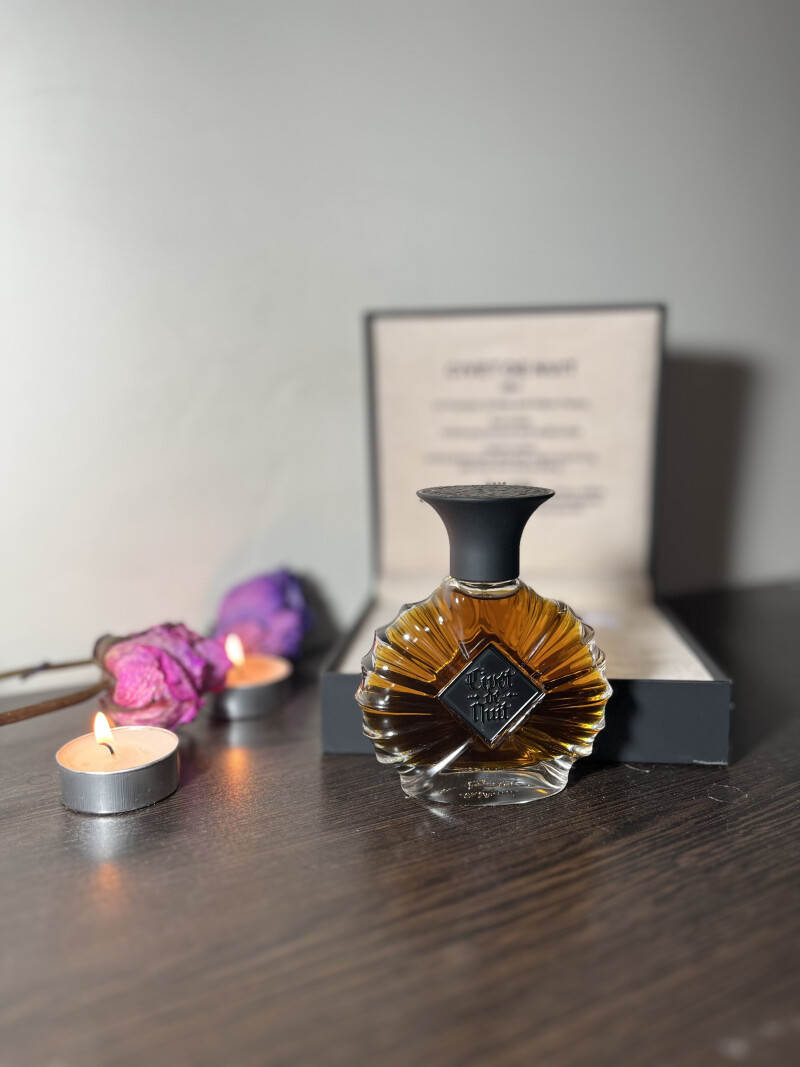 𝕮𝖎𝖛𝖊𝖙 𝖉𝖊 𝖓𝖚𝖎𝖙