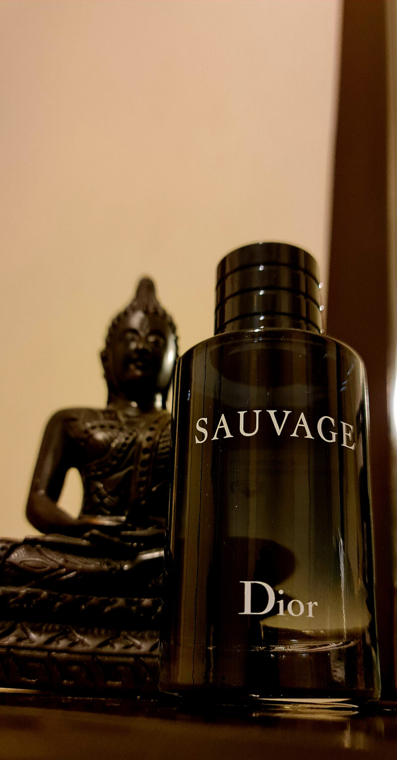 دیور ساواج - سرکش و نام آشنا