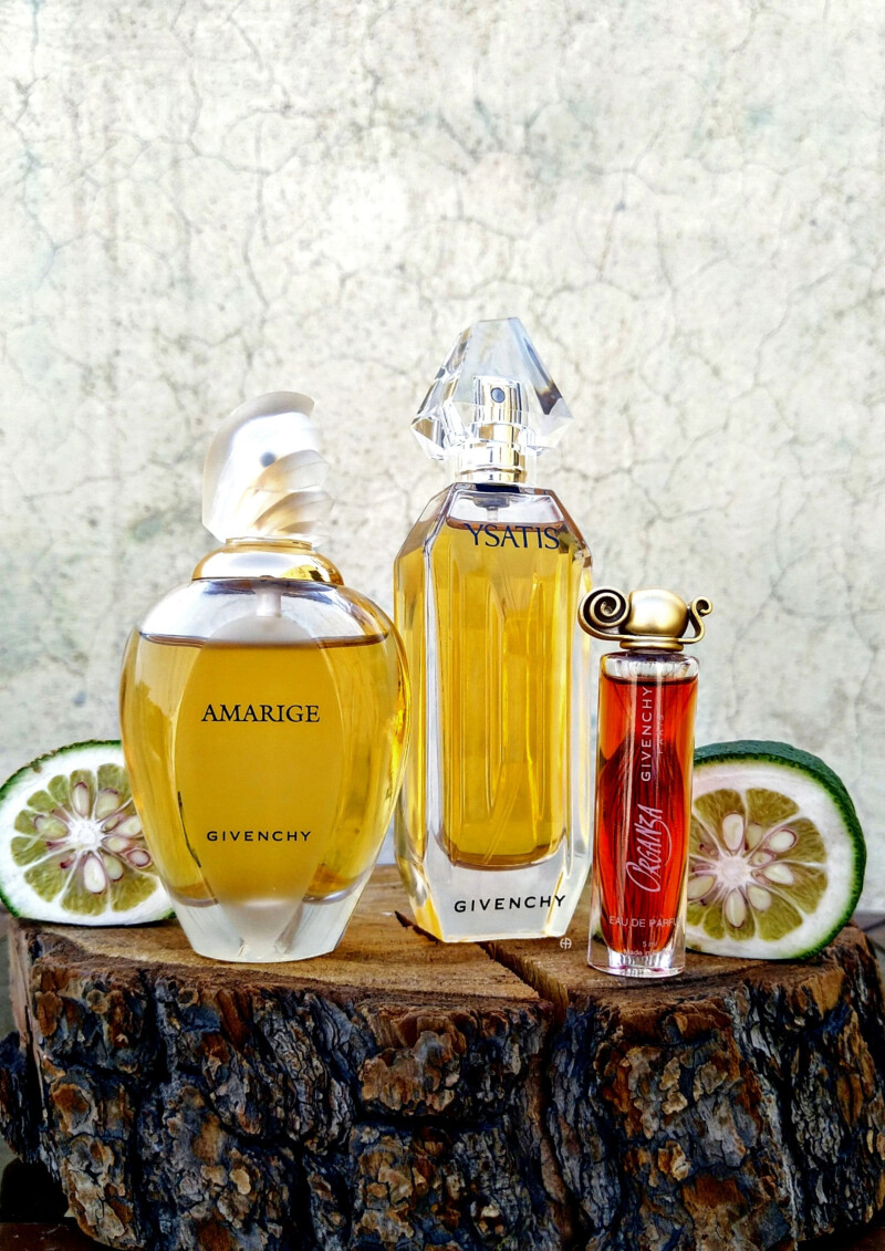 دوستان قدیمی و صمیمی از خاندان ژیوانشی ❣️