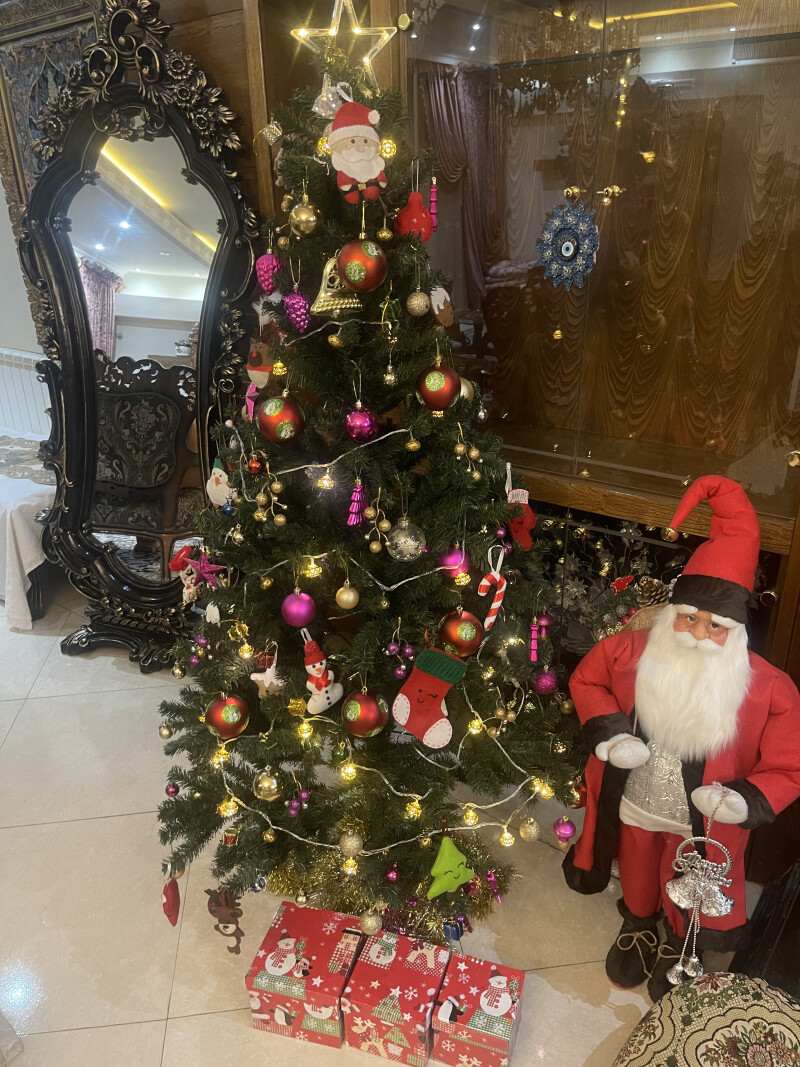 Merry Christmas 🎄