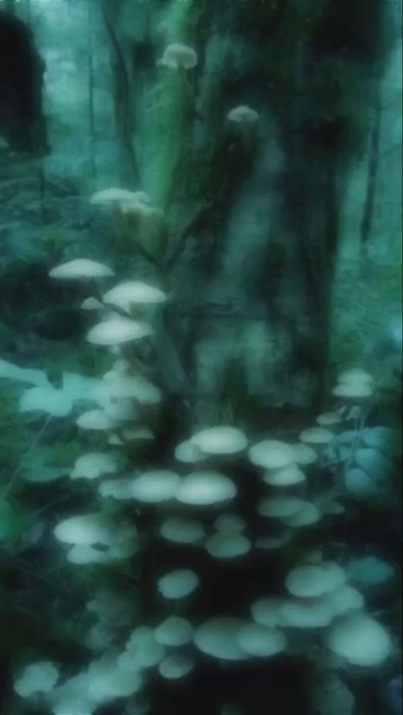 شب عشق خاکی