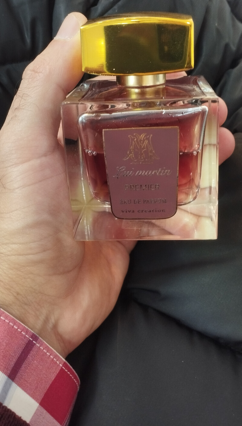 لویی مارتین...