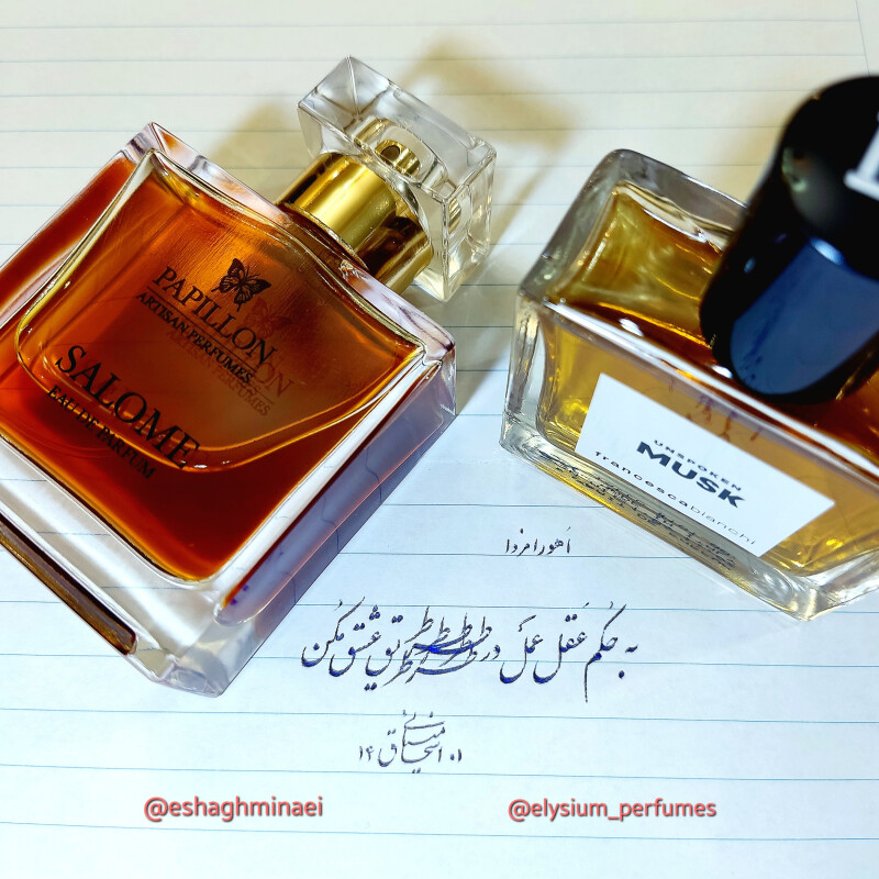 Salome vs. Unspoken Musk