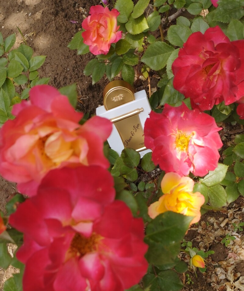 نامه‌ی معطر 