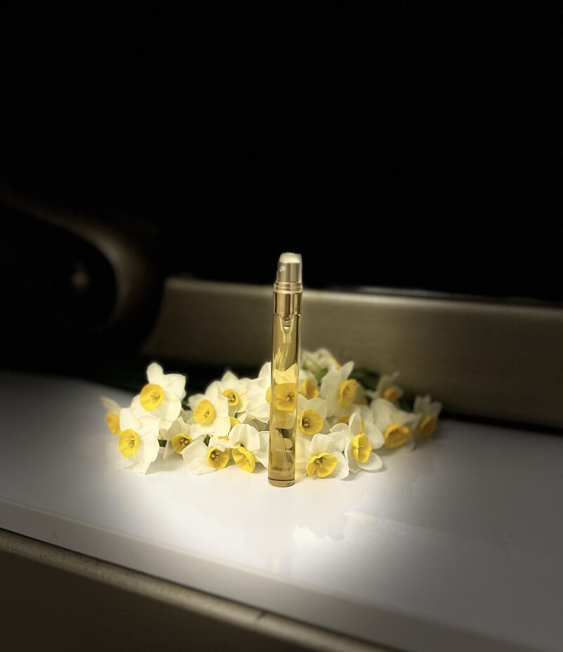 نرگسِ خالصِ شیرازی