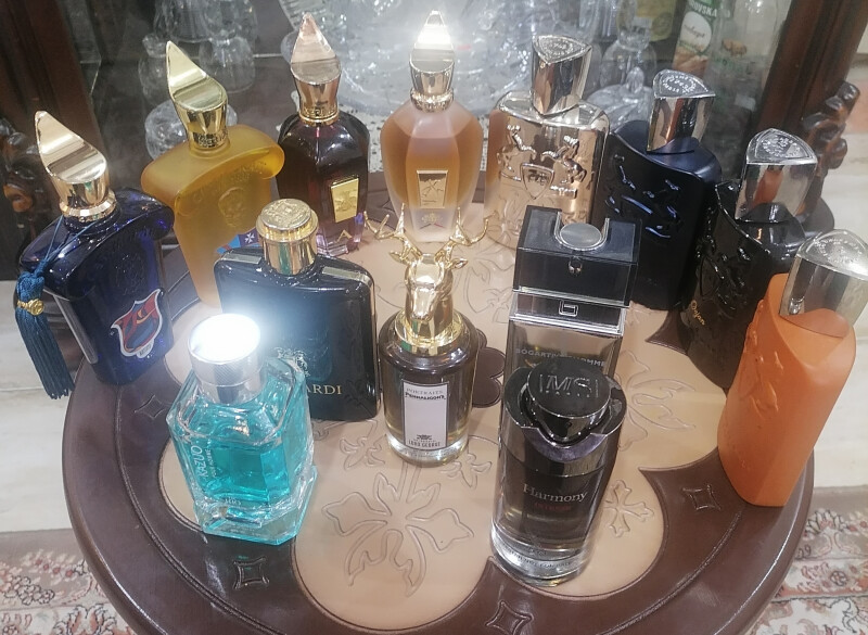 اینم تعدادی از عشقا😍لرد جورج چی میگه اون وسط؟و یه چهارتایی ناب با فیگور نمای رو به رو از پگاسوس🥰🤩