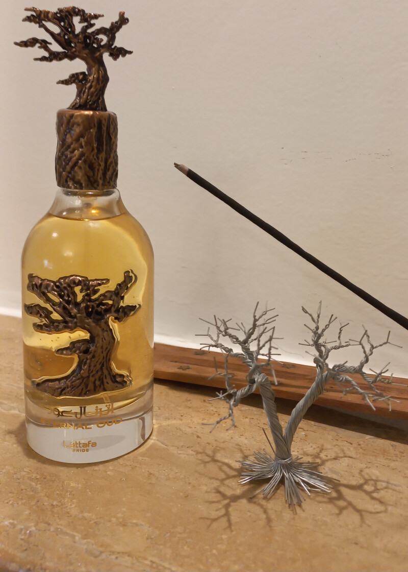 اولین تجربه