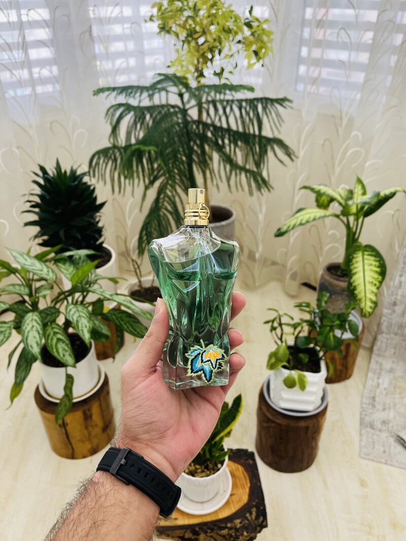 همراه بهاری من