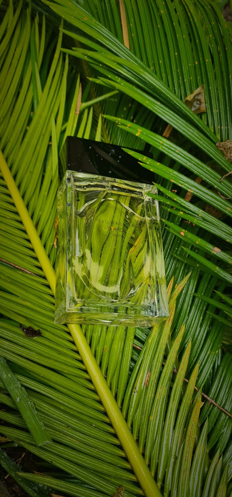 تبریک نوروز باستانی و 21 مارچ روز جهانی عطر