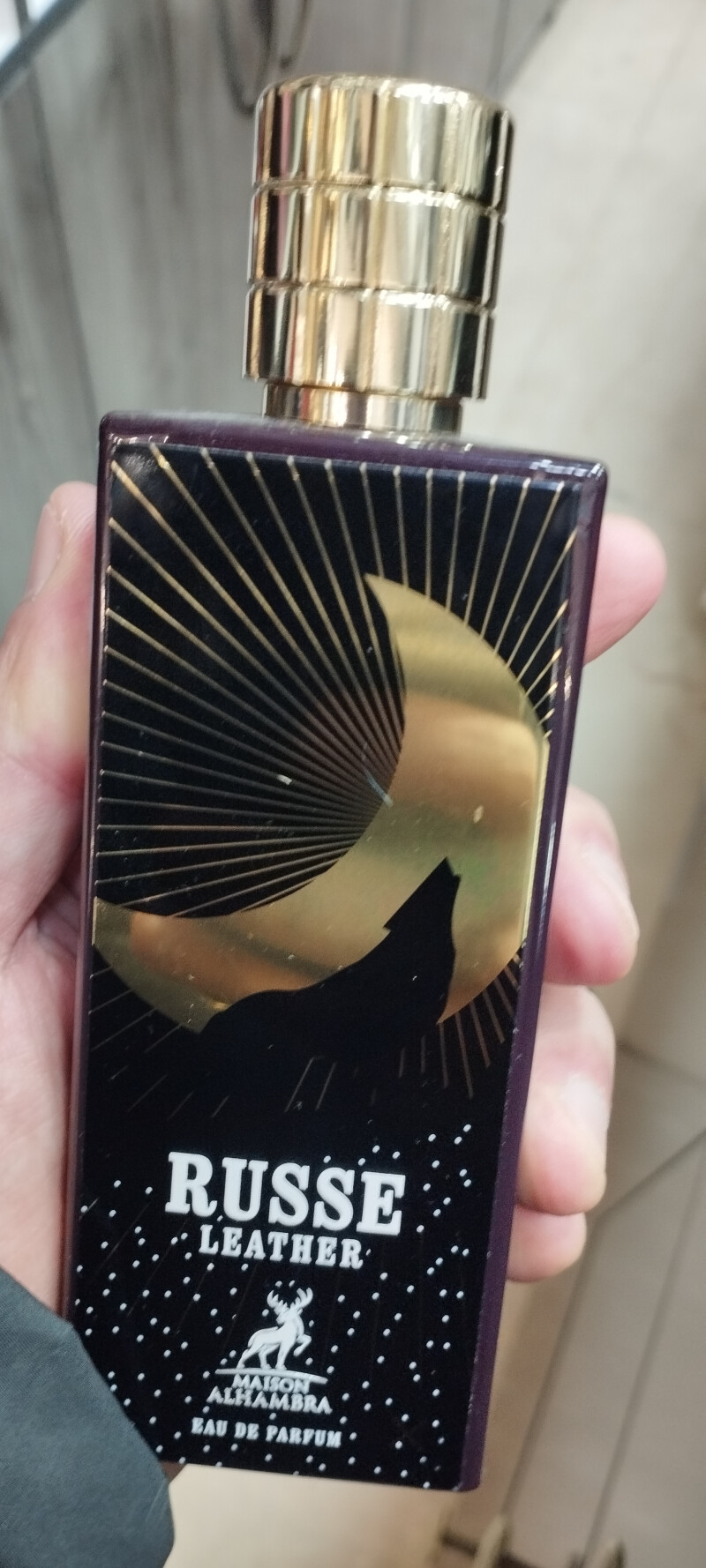 زوزه ی گرگ ها...