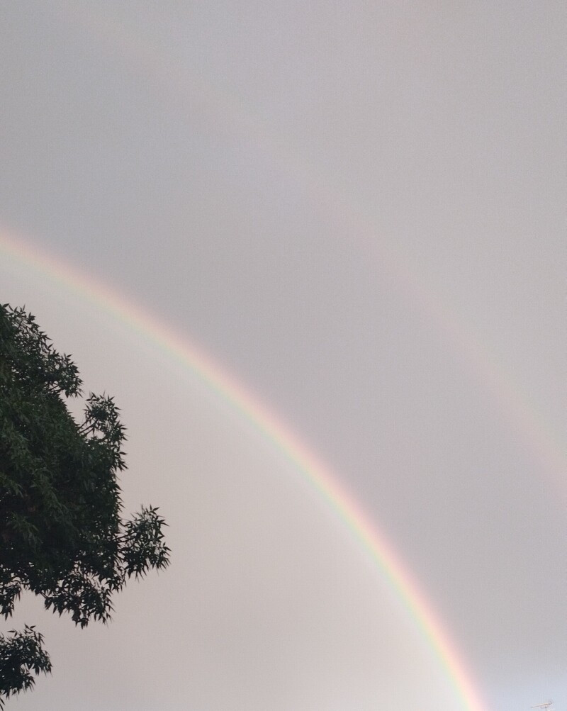 رنگین کمان معطر