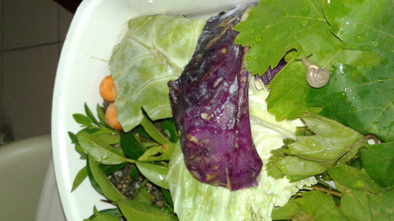 دستیار و کارشناس رایحه بازی من !