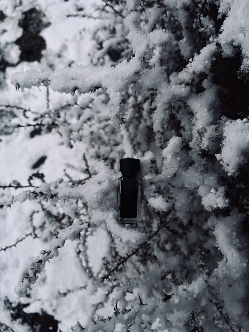 Pineward - murkwood