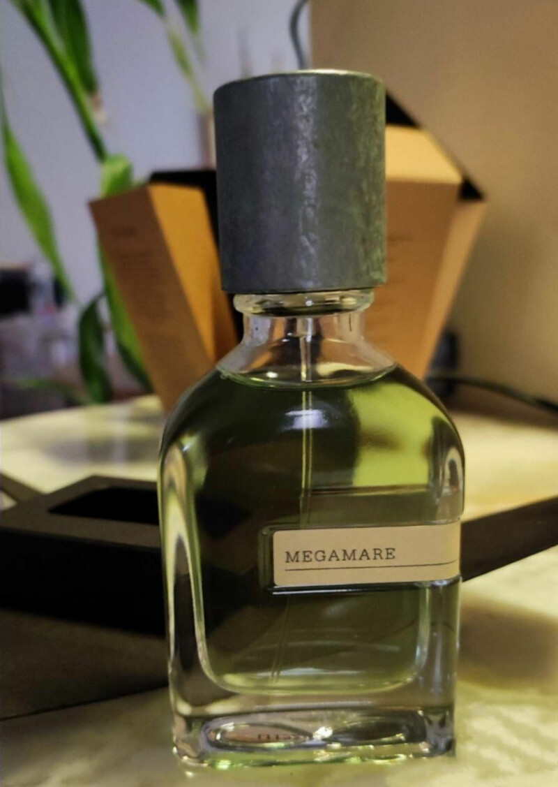 بوی فردای مستی 