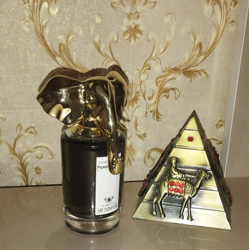 آقای تامسون