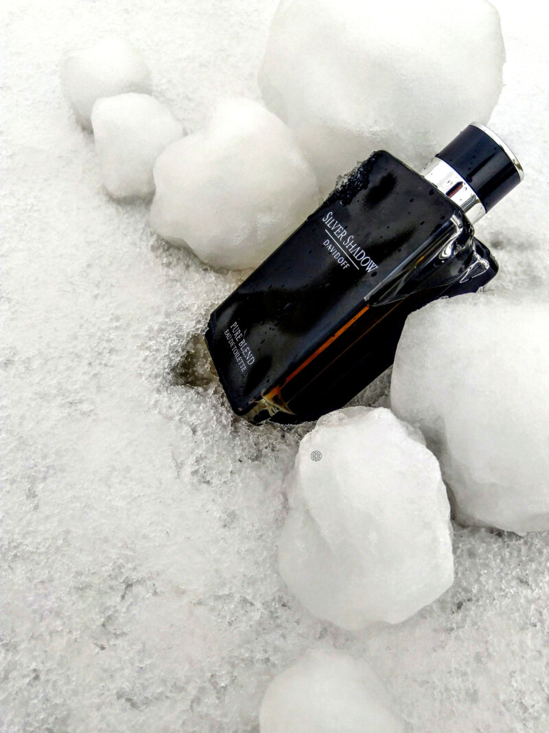 Sotd  ❄️❄️❄️