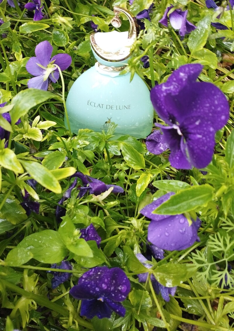 عطر عشق در طبیعت