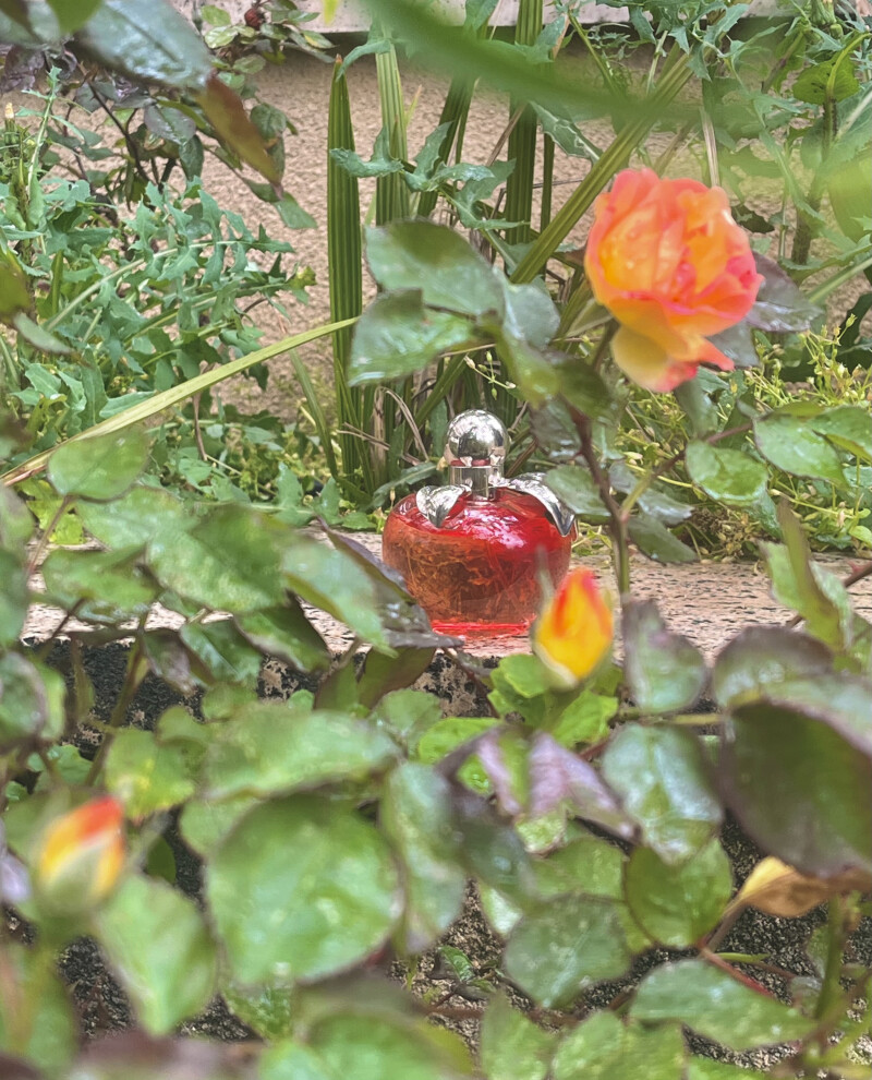 🍋🍋‍🟩🍏🌹