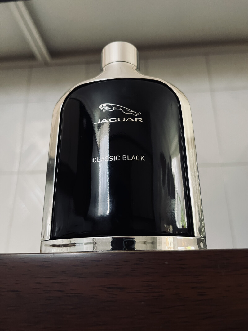 سلحشور جبهه های حقیقت