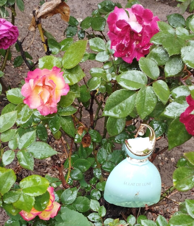عطر عشق در طبیعت