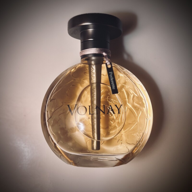 مروارید دان🤍