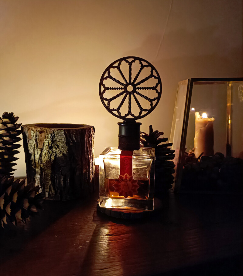 جشن آخرین شب پاییز