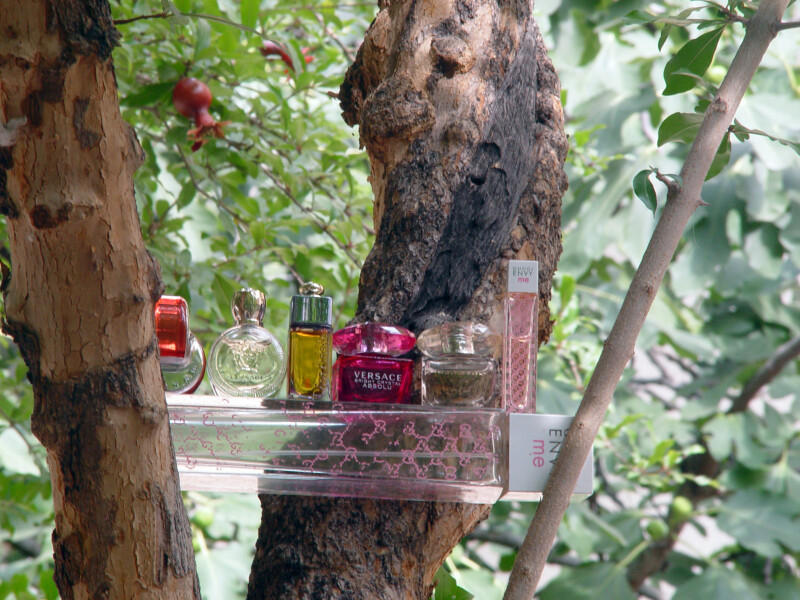 بهشت , قسمت دوم : انار