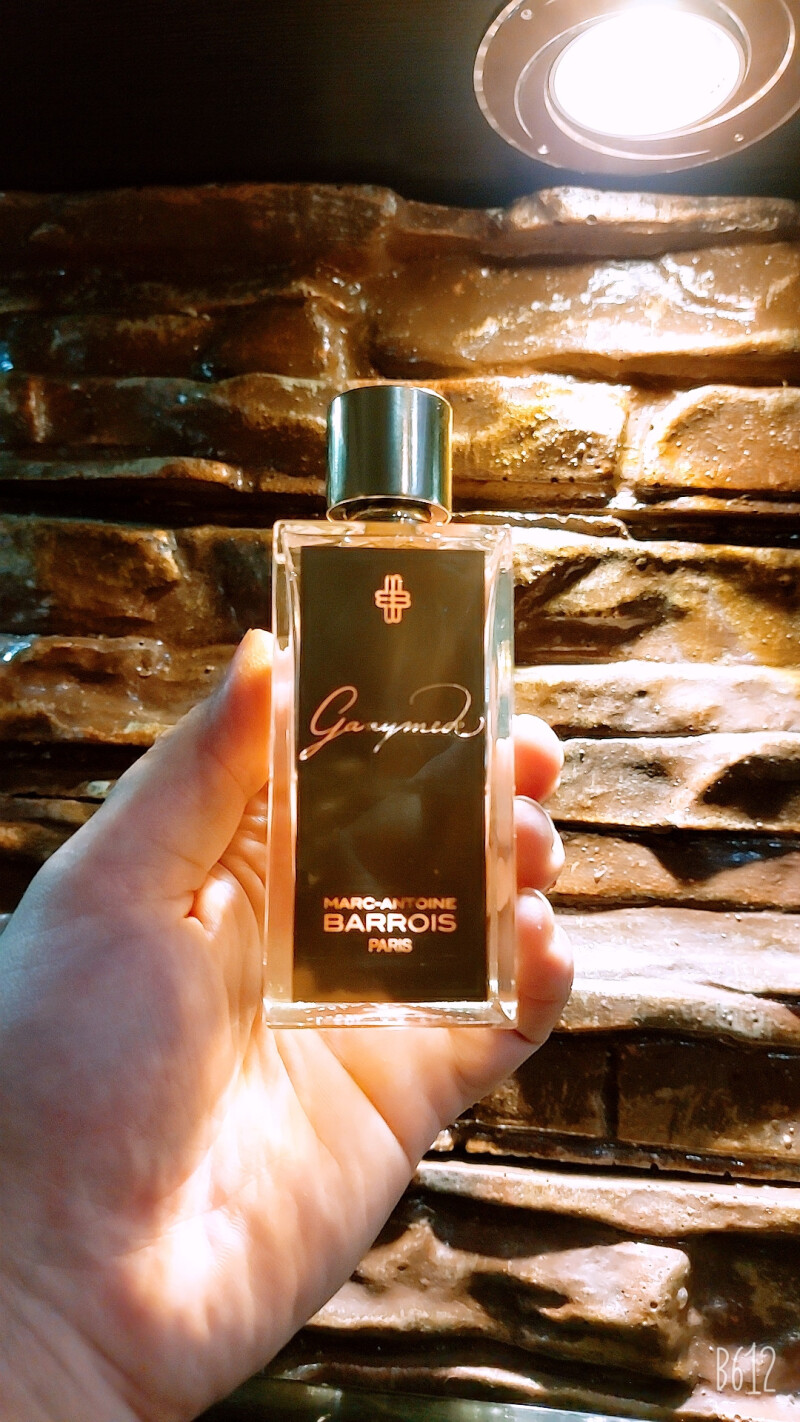 بزرگترین قمر سیاره مشتری و کل کهکشان 