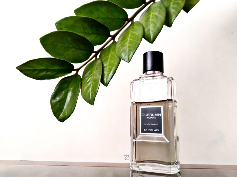 SOTN❣️