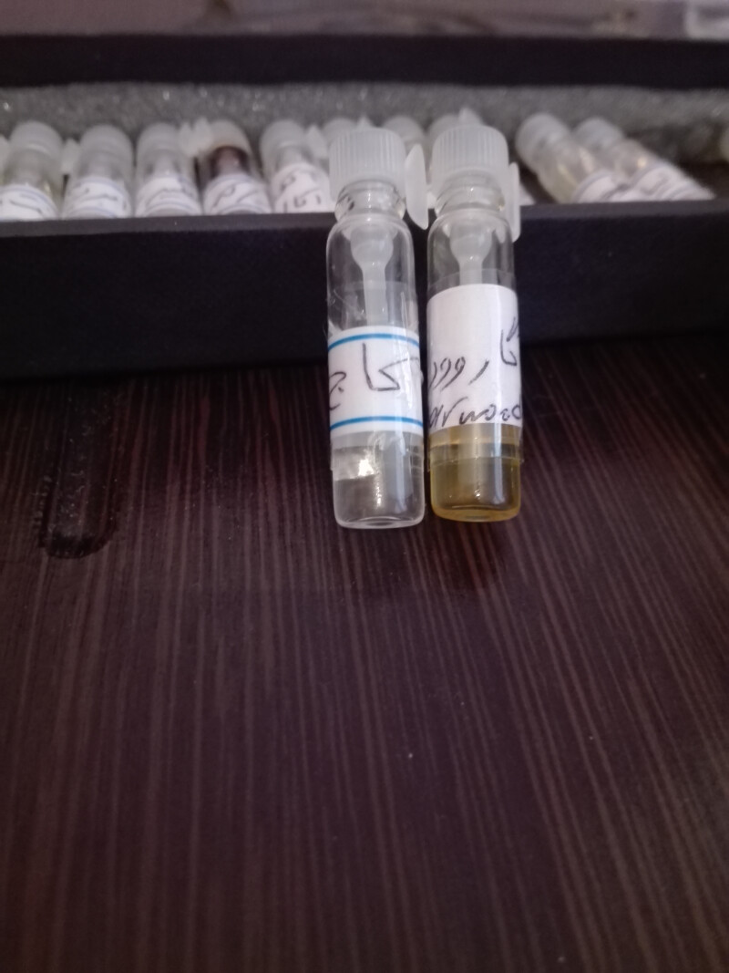 دونوع عود آگاروود _گایاک در بسترهای متفاوت.