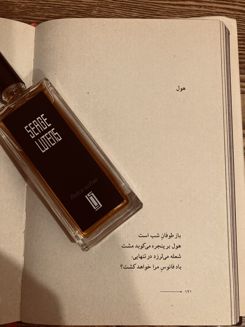 کهربا