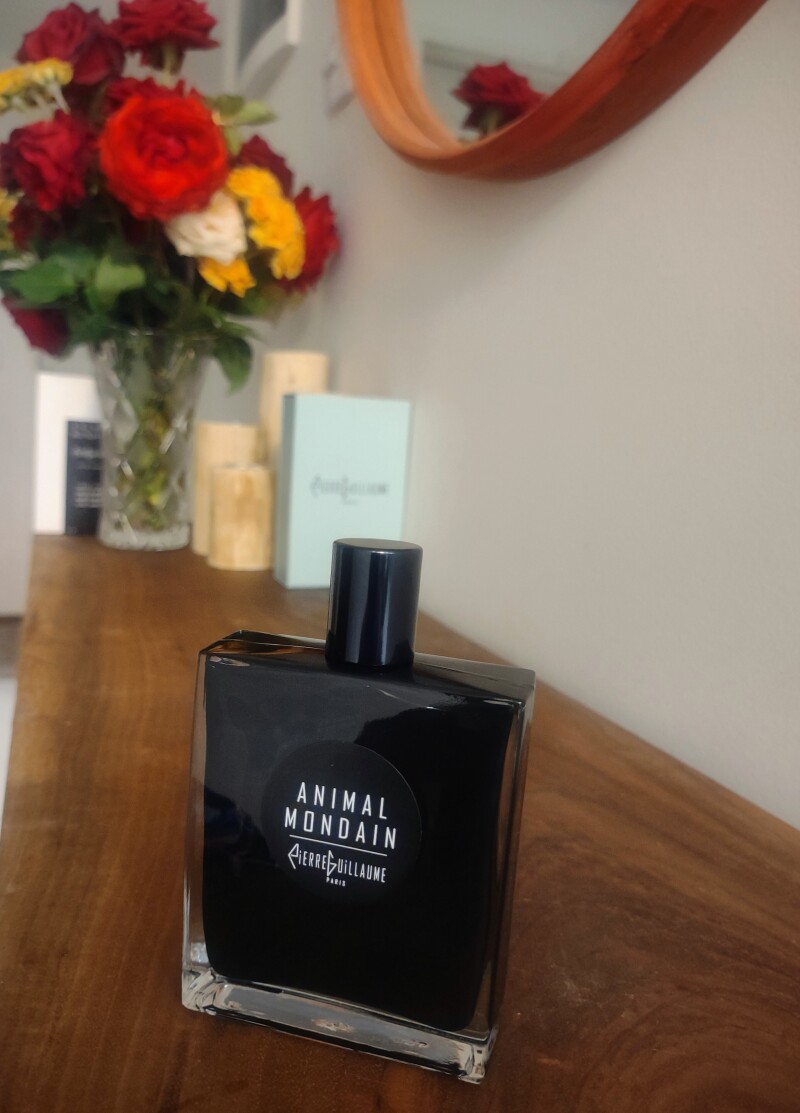 Pierre Guillaum Paris# Animal Mondain