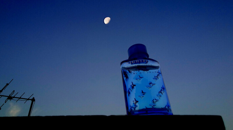 پرواز شب