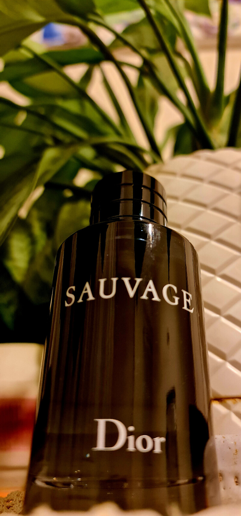 Dior Sauvage 