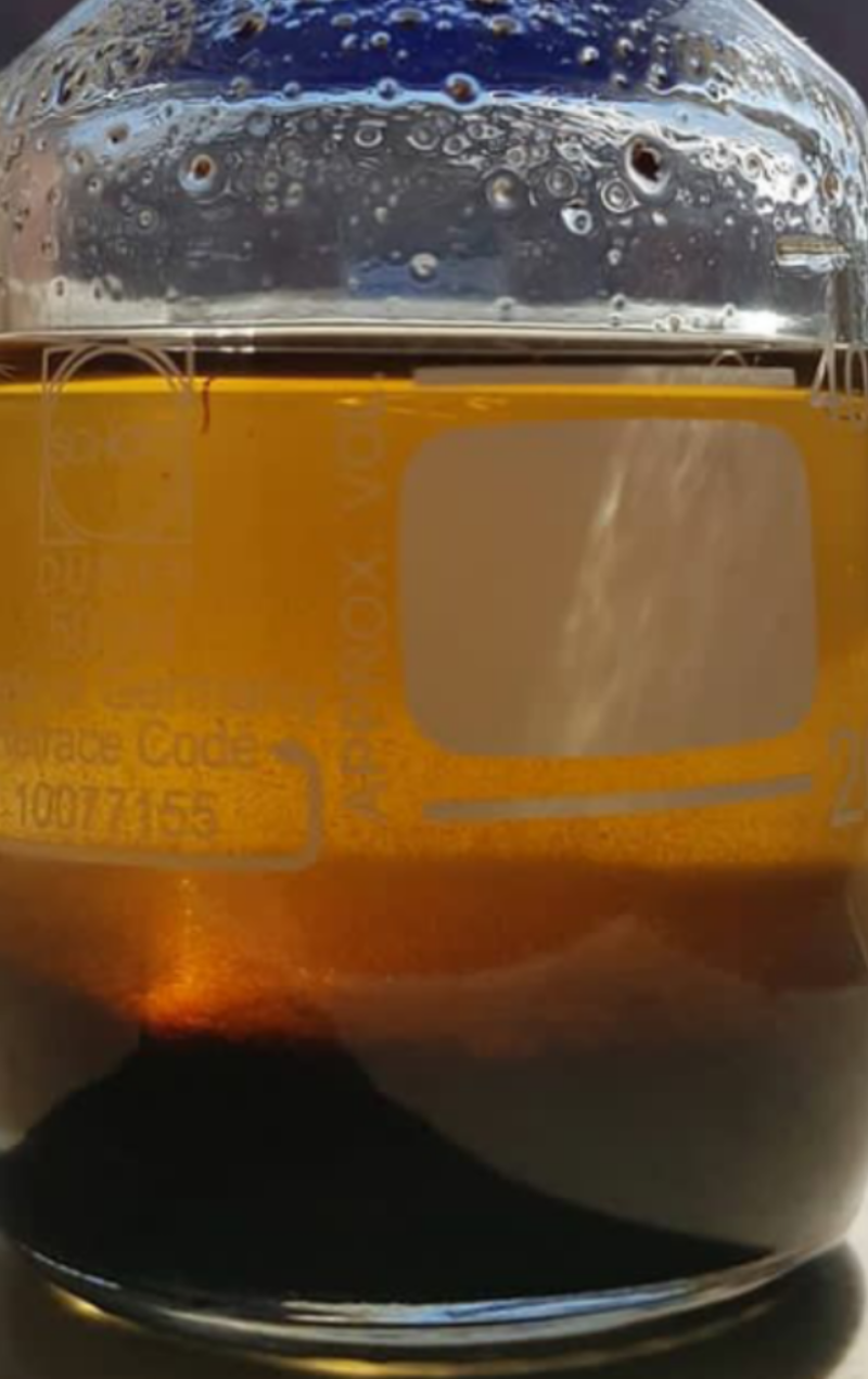 مشک سیوت در لباس ترپن ها و.....