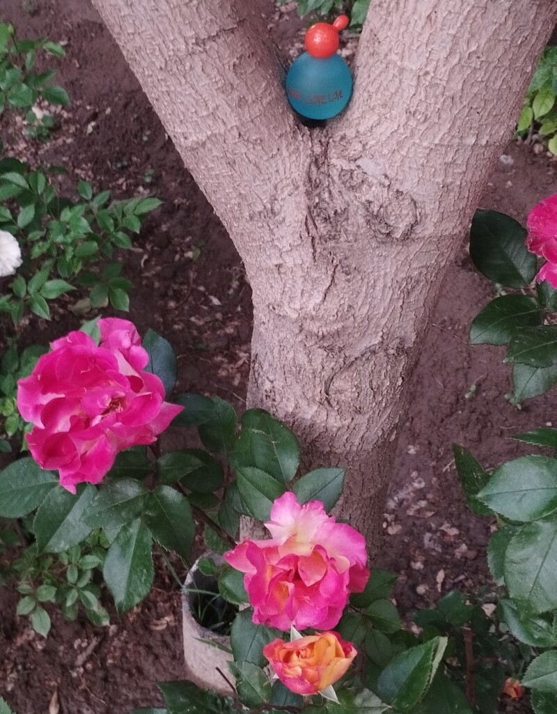 بهار سبز
