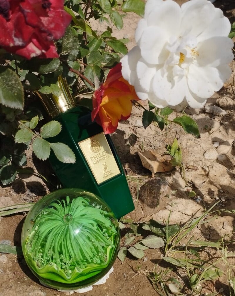 فیلوس سبز 