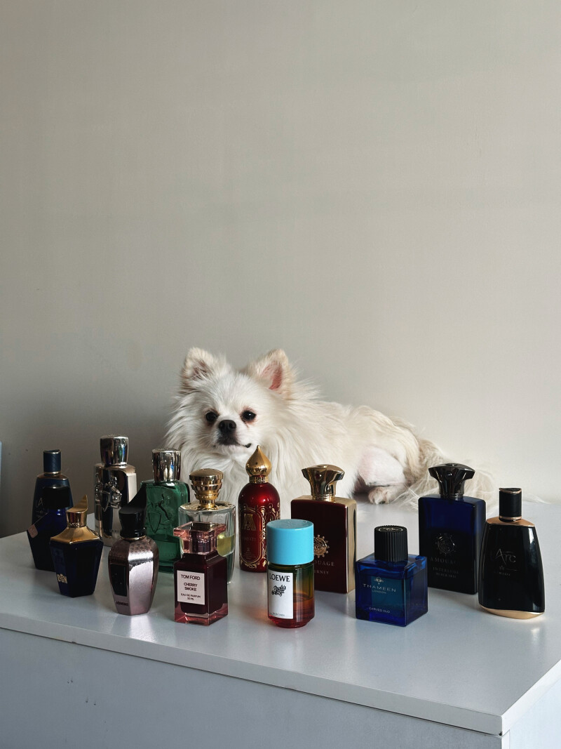 تولد اقا دیبی