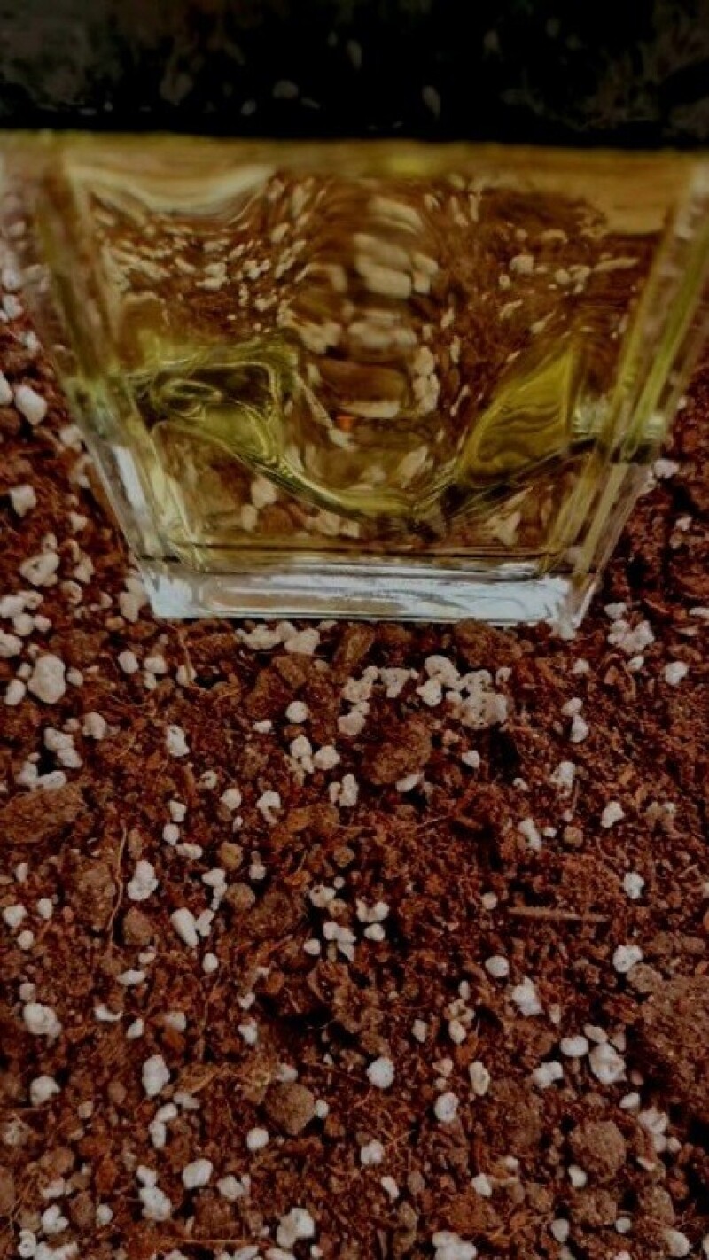 خاکی باشیم!