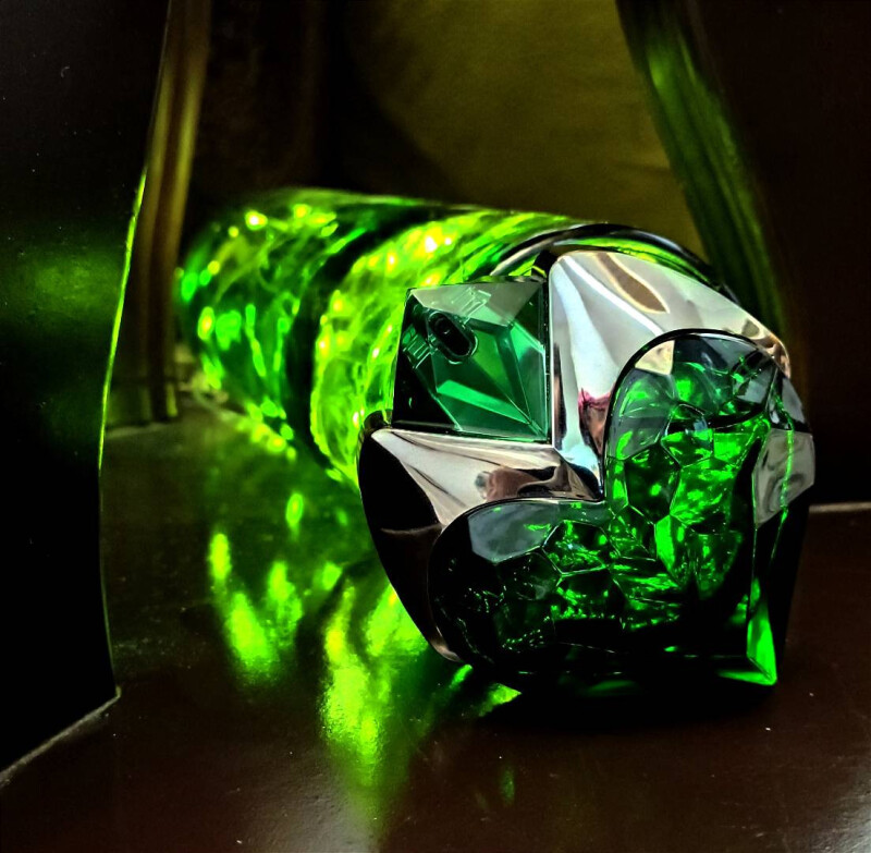 قلب جنگل یا قلب جادوگر