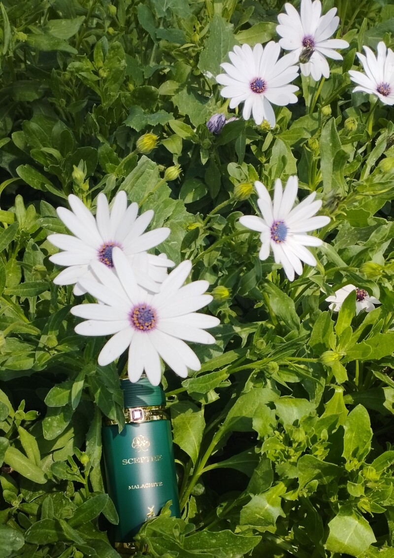 مالاکایت