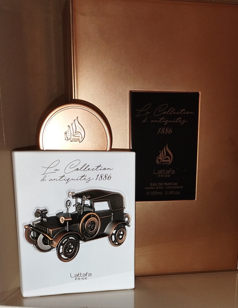 یاغیهای باندرانت....