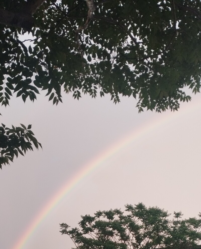 رنگین کمان معطر