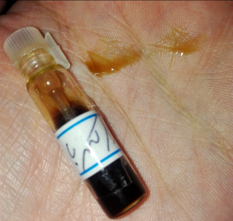 بازسازی اکورد کهربا ....